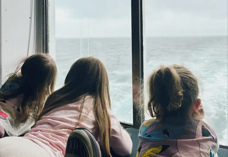 Cruise við Norrönu